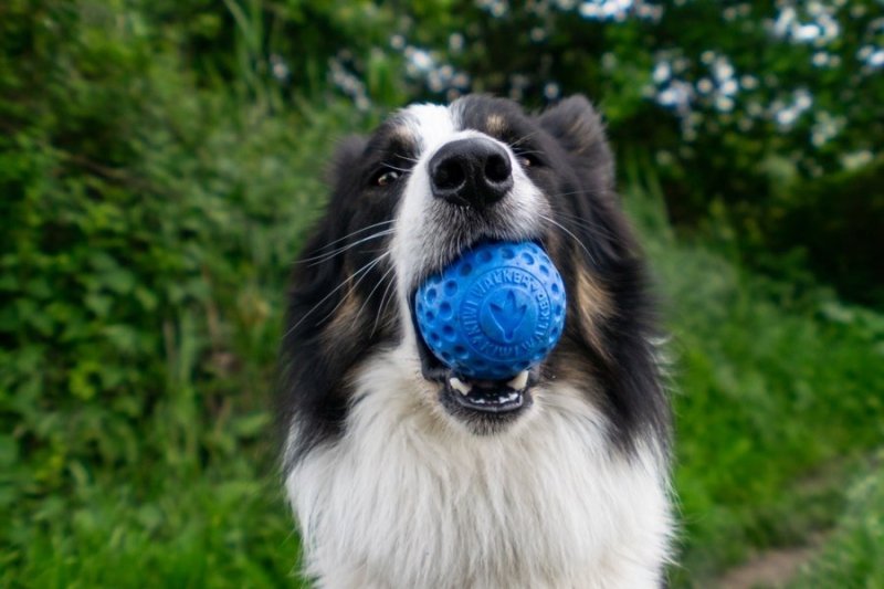 Kiwi Walker Let's Play BALL Mini piłka różowa