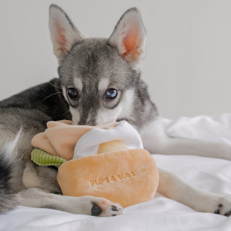 Pups &amp; Bubs PITA zabawka węchowa 