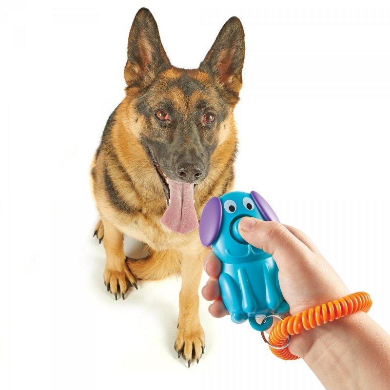 Brightkins Smarty Pooch Training Clicker KLIKER PIESEK