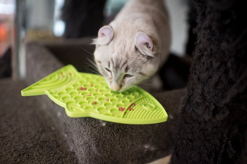 Mata LickiMat® Classic Felix™ zielona