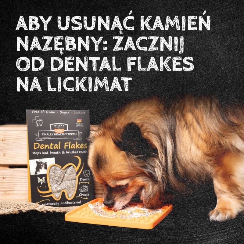 QCHEFS CAT Flips do higieny jamy ustnej dla KOTA