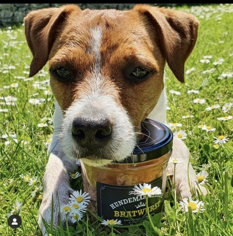 Stevi &amp; Schnück‘s Hundemarmelade Bratwurst DŻEM DOBRY BRATWURST 275g