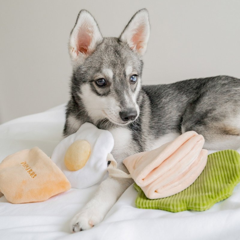 Pups &amp; Bubs PITA zabawka węchowa 