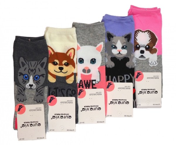 Podkolanówki bawełniane dziewczęce. Motyw Kolorowe kotki.  Zestaw 5 par w rozmiarze 28-31 firmy Aura.via