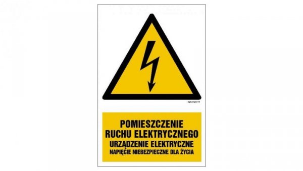 ZNAK - HA028 Pomieszczenie ruchu elektrycznego urządzenie elektryczne napięcie niebezpieczne dla życia 50 x 75 cm PN - Płyta 1mm