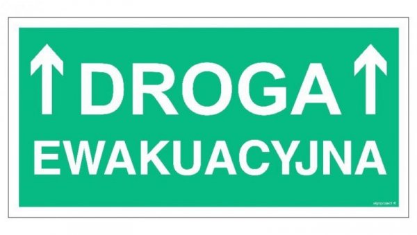 ZNAK - AC051 Droga ewakuacyjna 20 x 10 cm TS - Płyta TD foto.