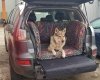 Mata samochodowa dla Psa do bagażnika Pofarbiony (również w innych wzorach graficznych) 