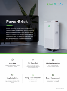 Solis S6-EH3P15K02-NV-YD-L 15 kW + Dyness PowerBrick 14,33 kWh - zestaw falownik hybrydowy 3-fazowy + magazyn energii HV