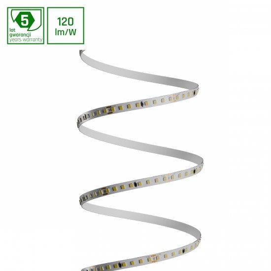 PASEK LED 2835 24V 128LED 10W/m 1200lm/m WW 8mm IP20 5LAT 5m roll