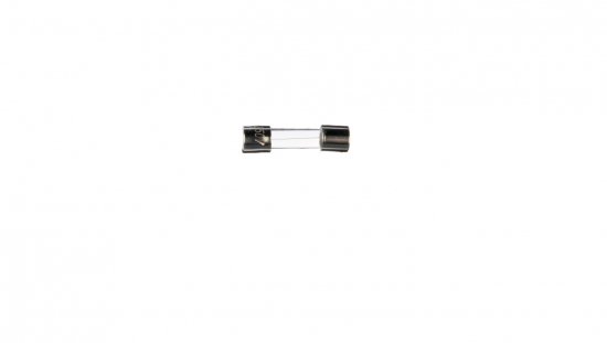 Wkładka aparatowa 5x20mm 1A F /szybka/ 250V 006710003 /10szt./