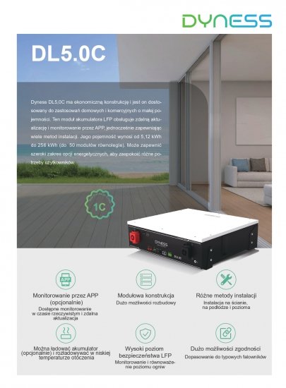 DYNESS Bateria LV DL5.0C 5,12 kWh (niskonapięciowy)