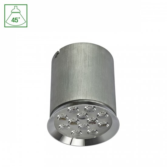 CHLOE 12LED 230V 12W IP20 45st CW SUFITOWE