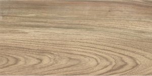 Ceramika Color Emo Wood Brown 30x60