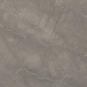 Liceo Grey Polished 60x60