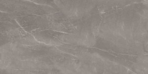 Armani Gris Poler 60x120 