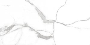 Geotiles Nilo Blanco Poler 60x120