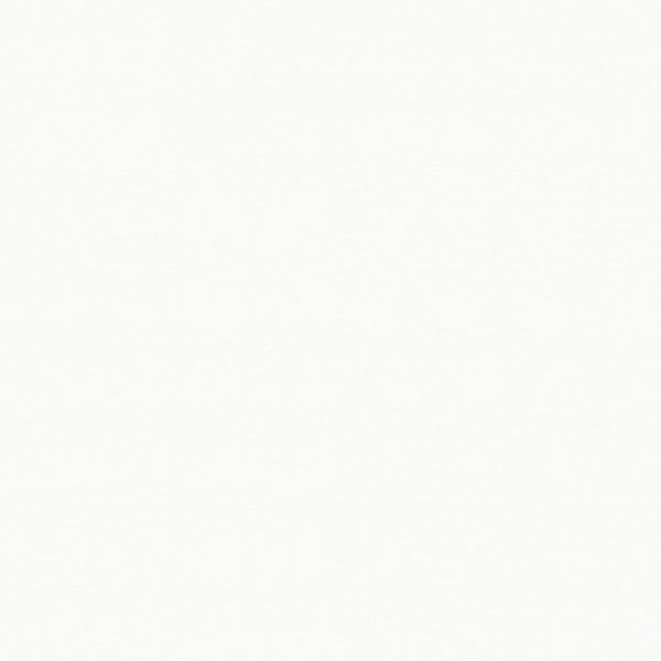 Baldocer Blanco Natural 80x80