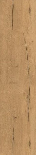 ATEM Forest YLM 19,5x120