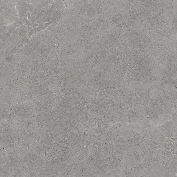 Paradyż Authority Grey 119,8x119,8