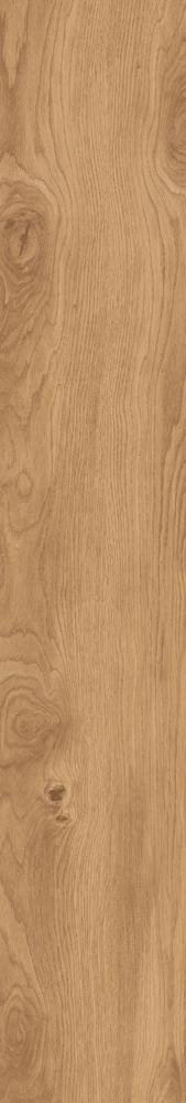 Epicentr Madera Gold 19,8x120