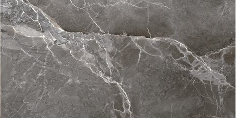 Ecoceramic Earthstone Graphite 60x120 - W