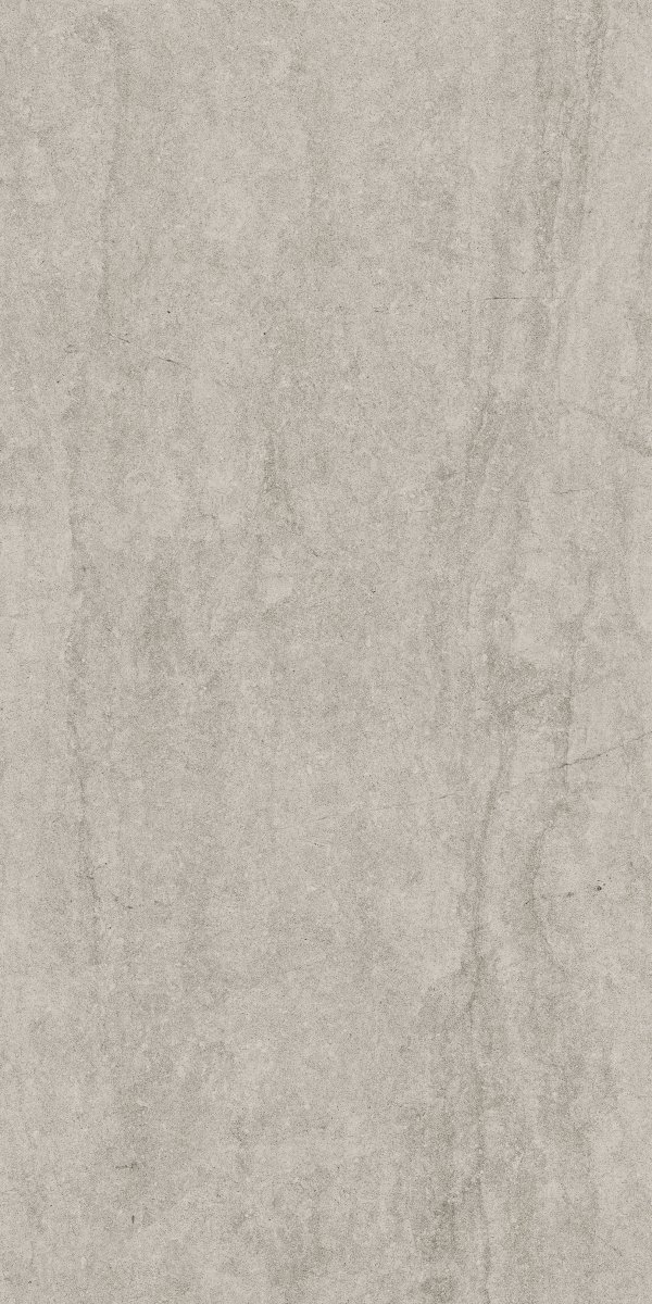 Cerrad Dignity Light Grey 119,7x59,7