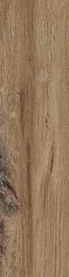 Stargres Siena Marrone 15,5x62