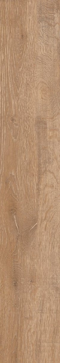 Epicentr Newcastle Gold 19,8x120