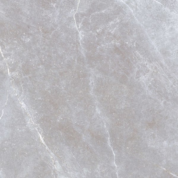 Golden Tile Space Stone Grey 60x60