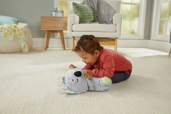 Fisher Price Usypianka Koala Oddychający uspokajacz