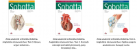 Atlas Anatomii Człowieka Sobotta. Angielskie mianownictwo wyd.25 