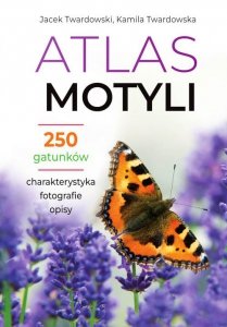 Atlas motyli