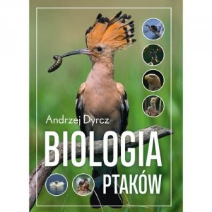 Biologia ptaków