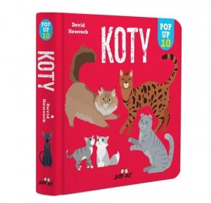 Koty POP-UP 10
