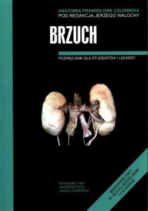 Anatomia Prawidłowa Człowieka Brzuch