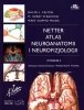 Atlas neuroanatomii i neurofizjologii Nettera 