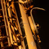 Saksofon altowy Henri Selmer Paris Signature solid silver