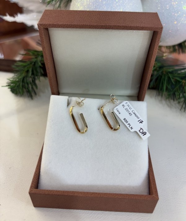 Złote Kolczyki Geometryczne KL.03145