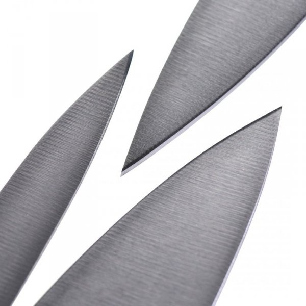Zestaw 2 noży ZWILLING Gourmet 36130-005-0
