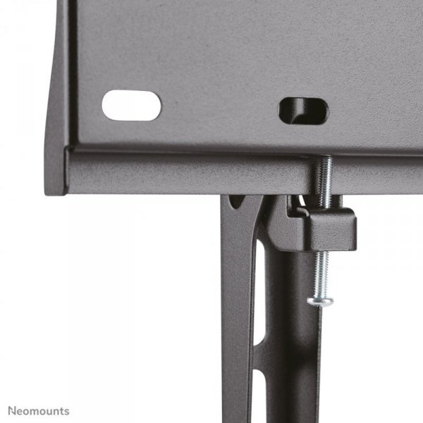Neomounts by Newstar FPMA-W350 139,7 cm (55&quot;) Czarny