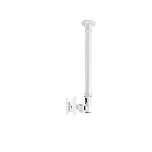 Uchwyt sufitowy NEWSTAR FPMA-C100WHITE (10&quot; - 30&quot;; do 1 ekranu; sufitowy)