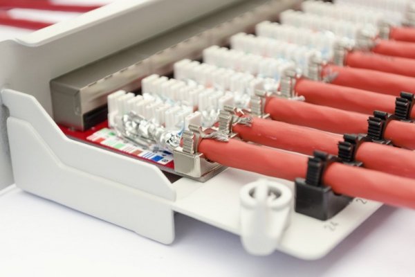Przewód DIGITUS Professional 50m - pomarańczowy, RAL 2000