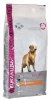 EUKANUBA Adult Golden Retriever - sucha karma dla psa - 12 kg 