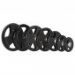 TALERZ OLIMPIJSKI OGUMOWANY 25 KG HMS TOK25 
