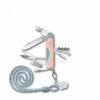 Scyzoryk Victorinox Companion Paris Style 1.3909.E221