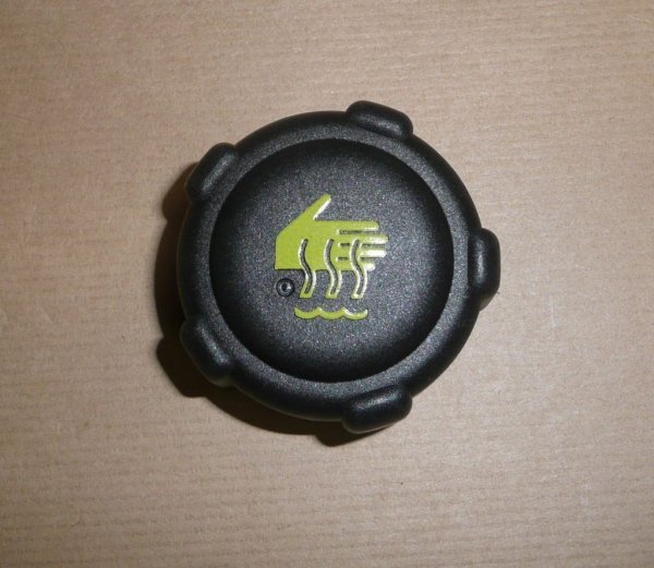 Original  Bouchon de réservoir de liquide Clio II, Kangoo 1.4 bar , 8200048024