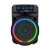 Aktywna kolumna głośnikowa (z 2 mikrofonami bezprzewodowymi UHF, SD, Bluetooth, FM, USB, LED) 60 Watt