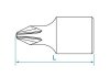 NASADKA 1/4 Z KOŃCÓWKĄ KRZYŻAKOWĄ No.3 x 25mm PH3 King Tony