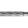 Wiertlo rdzeniowe HKE-L Weldon wegl.b.dlugie,60/110 mm BDS