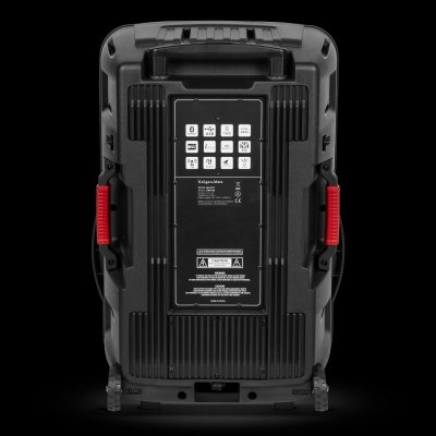 Aktywna kolumna głośnikowa (z 2 mikrofonami bezprzewodowymi UHF, SD, Bluetooth, FM, USB, LED) 60 Watt